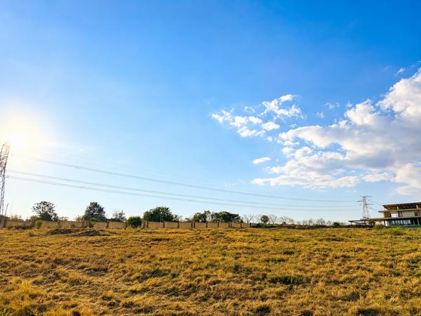 Vacant Land / Plot For Sale in Blue Hills Equestrian Estate, Midrand